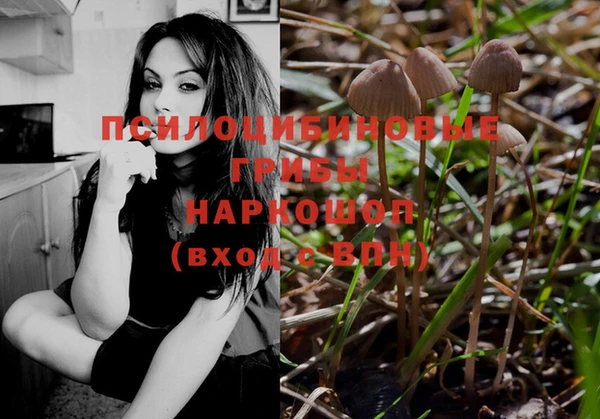 индика Абаза