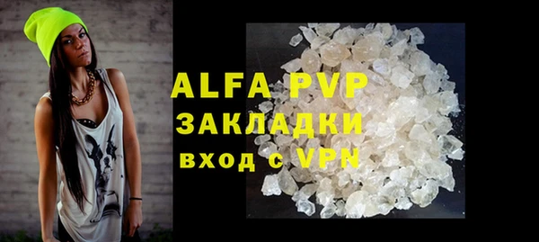 индика Абаза