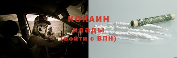 индика Абаза
