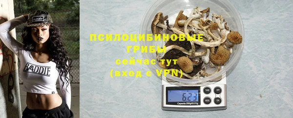 индика Абаза