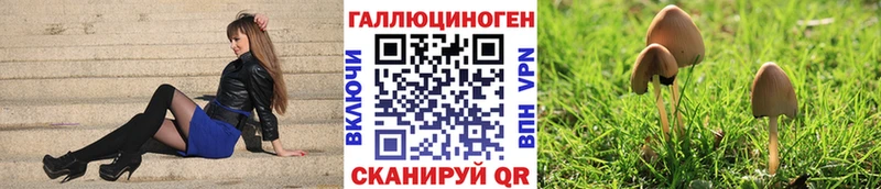 купить наркотики цена Трубчевск ОМГ ОМГ маркетплейс Псилоцибиновые грибы MAGIC MUSHROOMS